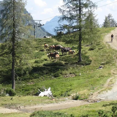 아파트 Janschitz *