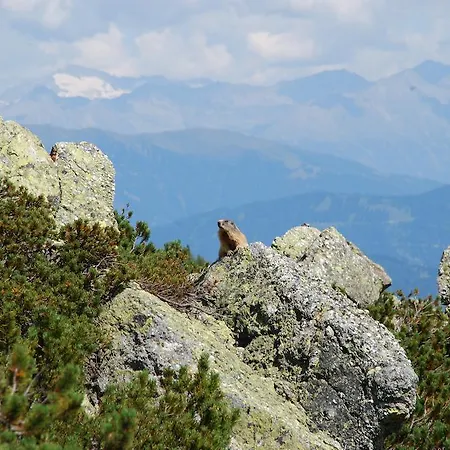 Daire Janschitz Gundersheim