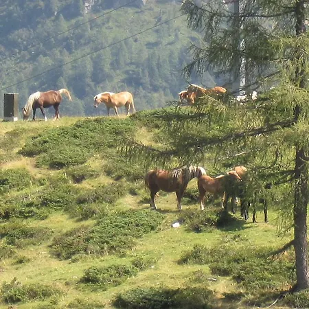 Janschitz Gundersheim