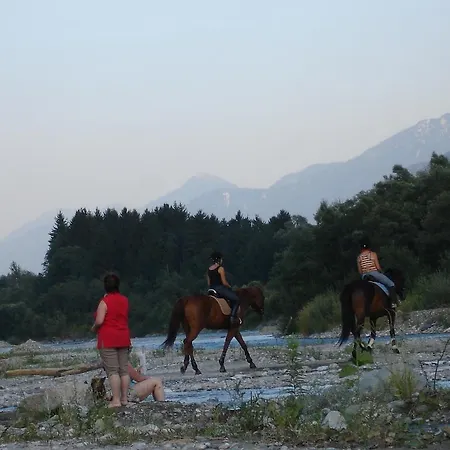 Daire Janschitz Gundersheim