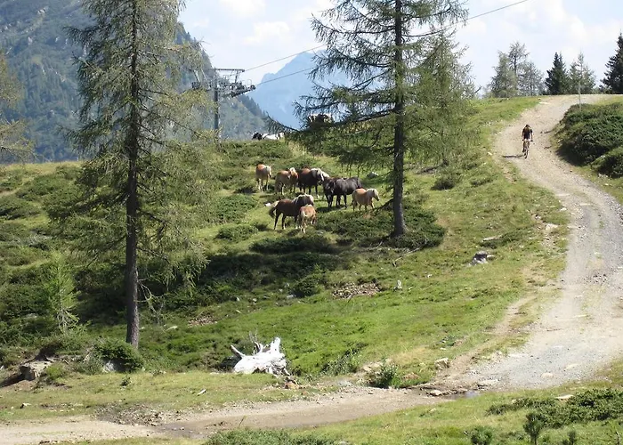 アパート Janschitz *