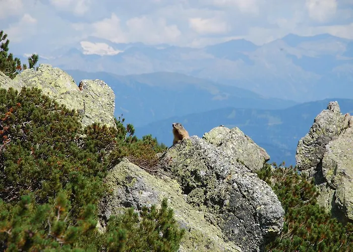 Apartament Janschitz Gundersheim