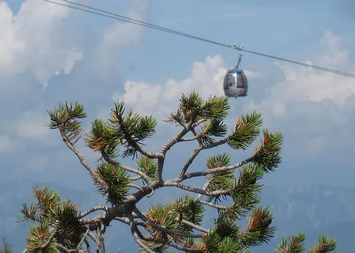 Apartament Janschitz *