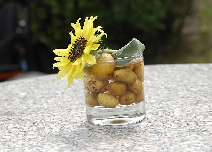 アパート Janschitz